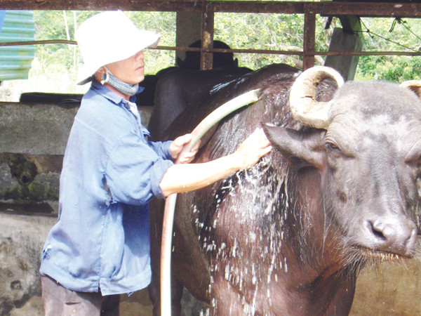 'Đại đệ tử' của Anh hùng Hồ Giáo