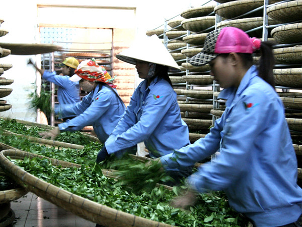 Doanh nghiệp FDI: Vẫn chuyển giá, trốn thuế