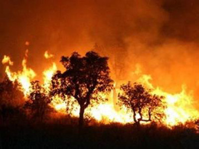 Nắng nóng, liên tiếp xảy ra cháy rừng