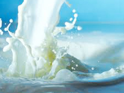 Thanh tra hai doanh nghiệp sữa