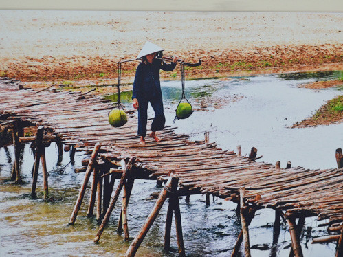 Tình quê Bình Định qua ảnh Hoàng Tuấn