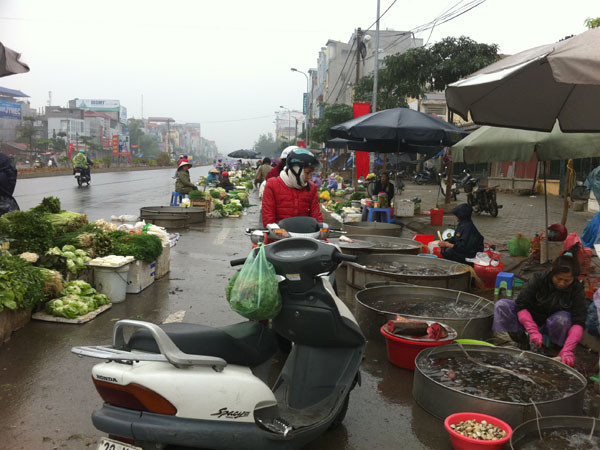 Sáng mồng 2 Tết, thịt, cá giá...chát