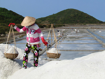 Dự án nửa tỷ đô chậm, quay về... làm muối