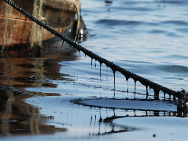 Bị dây neo quấn cổ, một ngư dân tử vong