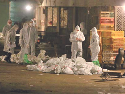 Thế giới bàn về dịch bệnh nóng bỏng ở châu Á