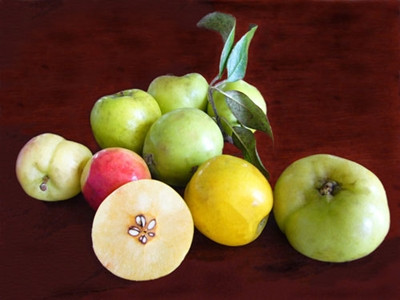 Sự thật về tác dụng giảm cân của táo mèo?