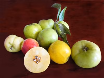 Sự thật về tác dụng giảm cân của táo mèo?