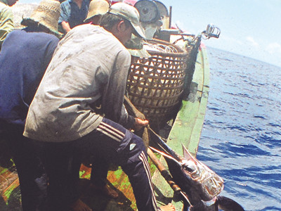 Hệ thống quan sát qua vệ tinh: Kết nối hơn 3.000 tàu cá