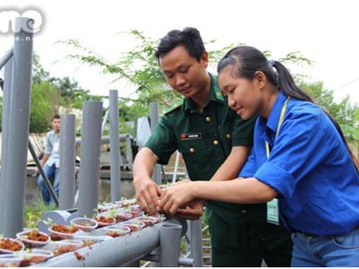 Nữ sinh trồng rau sạch