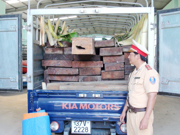 Bắt giữ xe chở gần 5 khối gỗ quý