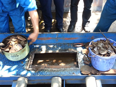 Thanh tra toàn diện hoạt động dịch vụ mặt đất