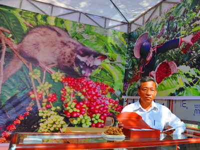 Tận thấy cà phê chồn Buôn Ma Thuột đắt nhất hành tinh