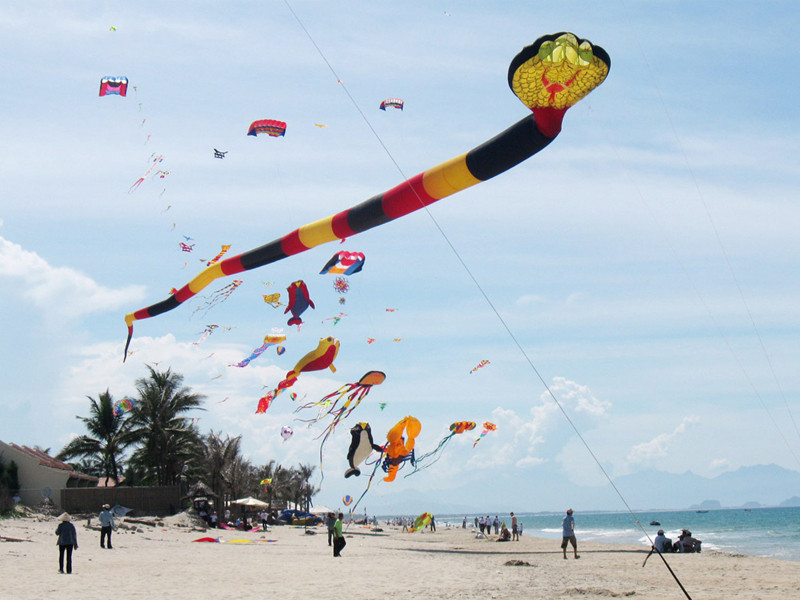 Những cánh diều khoe sắc trên bãi biển Cửa Đại, Hội An