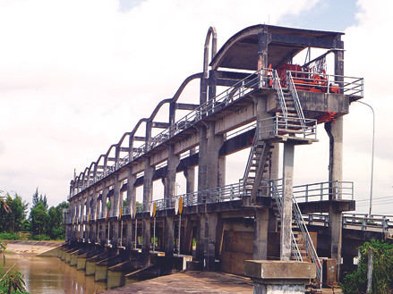 Cửu Long Giang 2 con rồng đã mất