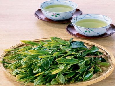 Thực phẩm chống ung thư