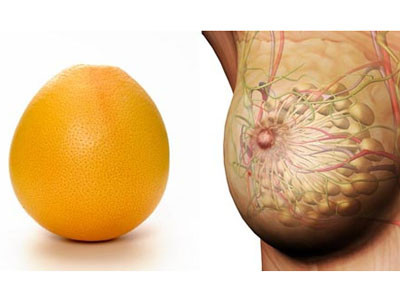 Vì sao ăn bưởi bổ vòng một?
