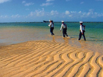Hát mãi cho Trường Sa