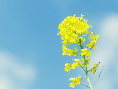 Thứ bảy của bạn (27-8)