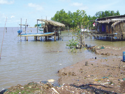 Chống sạt Mũi Cà Mau bằng kè thân thiện môi trường