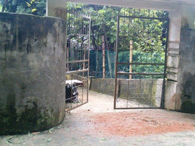 Hai người đàn ông đánh một phụ nữ động thai