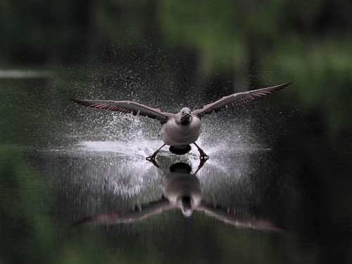 Triển lãm Cuộc thi Ảnh nghệ thuật quốc tế lần thứ 7