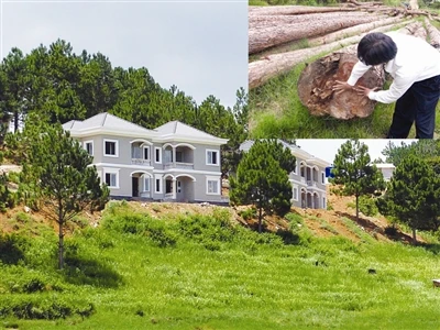 Sau loạt bài chống tiêu cực : PV báo Tiền Phong bị đe dọa