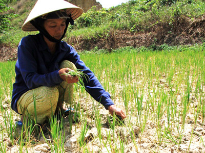 Đà Nẵng sẽ đưa vụ đòi nước thủy điện ra Quốc hội