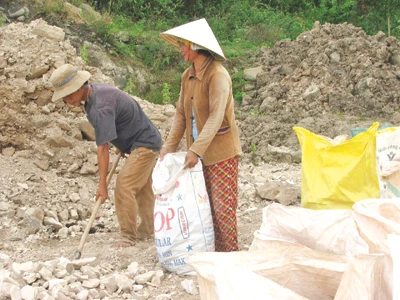 Xới tung đất rừng vì Diatomite