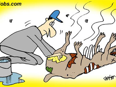 7 công việc kỳ quặc khiến bạn bất ngờ