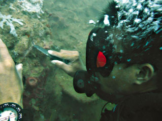 Nhiều cổ vật đã bị kết dính thành khối. ảnh: Tiến Trình (Thanh Niên)