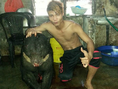 Sẽ xử nghiêm thanh niên giết gấu