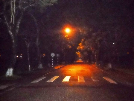 ‘Tự sướng’ nơi công cộng còn bắt cảnh sát… ‘làm khán giả’