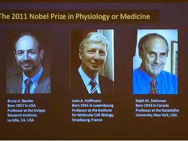 Ba nhà nghiên cứu giành giải Nobel Y học 2011
