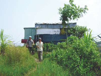 KCN Khánh An (U Minh) bỏ hoang vì không sử dụng hết diện tích Ảnh: Tiến Hưng