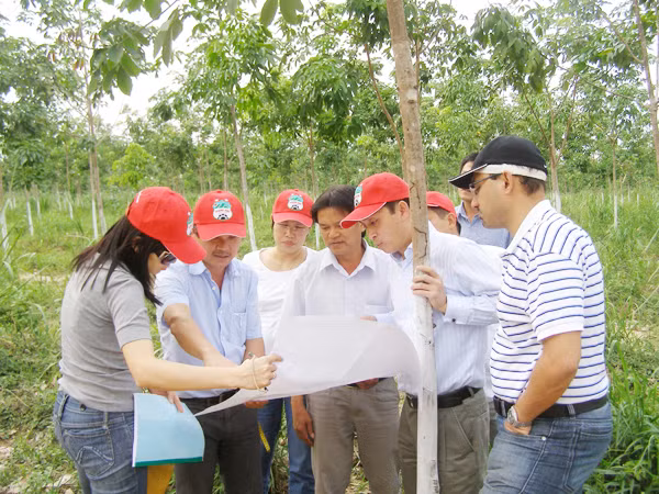 Ông Đức đưa các nhà đầu tư nước ngoài thăm vườn cao su của tập đoàn