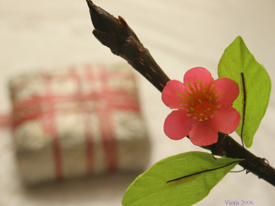 800 kiều bào sẽ dự Xuân Quê hương 2011