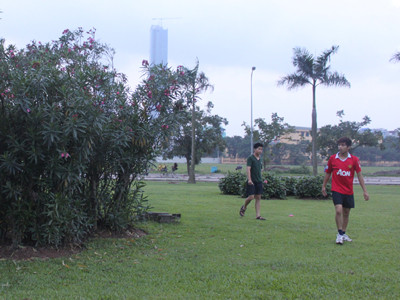 Nếu có yêu cầu, sẽ thay cây trúc đào