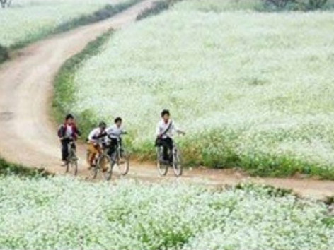 Thư nông dân Mộc Châu mắng dân phượt