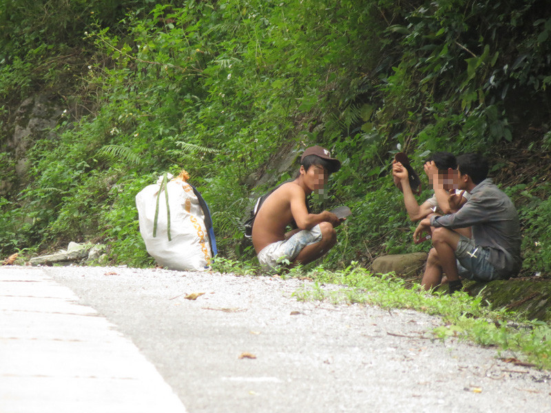 Lâm tặc lại trúng sưa chục tỉ, dân ùn ùn kéo vào rừng