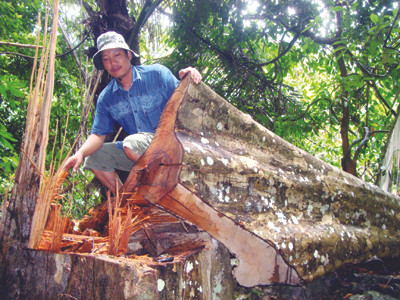 Về nơi 'lâm tặc' lộng hành