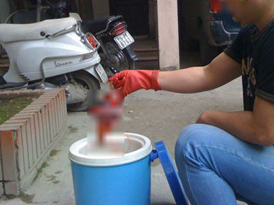 Đột nhập nguồn cung nhau thai tươi