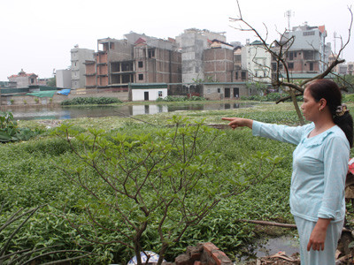 Hồ Rẻ Quạt bao giờ được cải tạo?