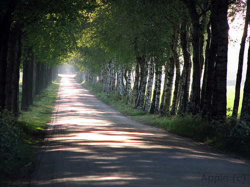Hành trang cơ bản cho tuổi trẻ