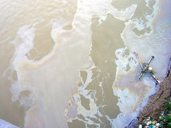 Dầu dạt vào bờ phía phường Phúc Tân