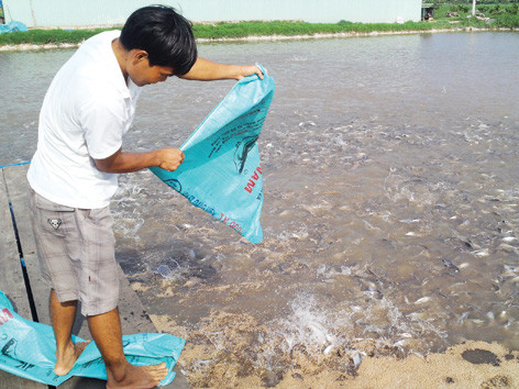 Nước nông nghiệp sao phải nhập nông sản?