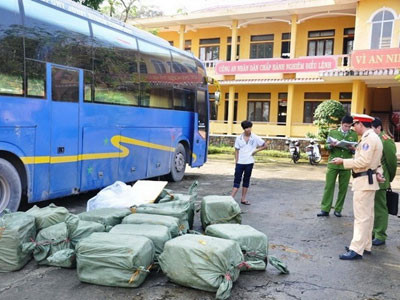 Tám tạ nội tạng động vật 'đi' xe khách hạng sang