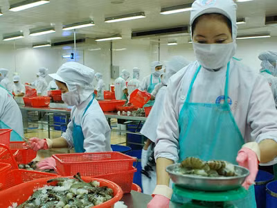 Nhiều ngân hàng vẫn âm thầm thu nhiều loại phí khi doanh nghiệp vay vốn, khiến doanh nghiệp thêm khó