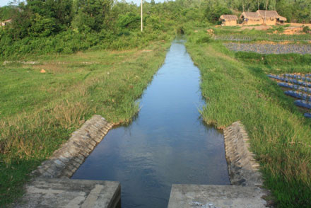 Bảo mẫu bất cẩn, bé 11 tháng chết dưới mương