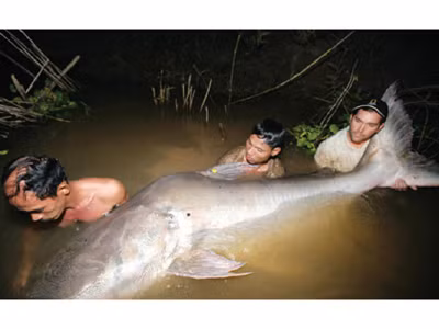 Chưa thông qua dự án Xayaburi