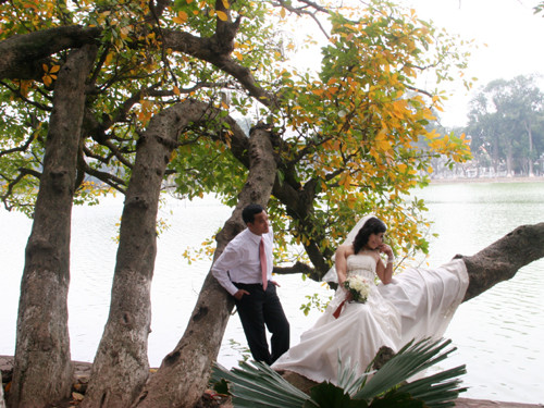 Lộc vừng Hồ Gươm 'cựa' mình thay sắc